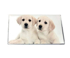 Style Choice * Dog * Puppy * 3 Year Pocket Calendar Planner 2025-2027 w Notepad