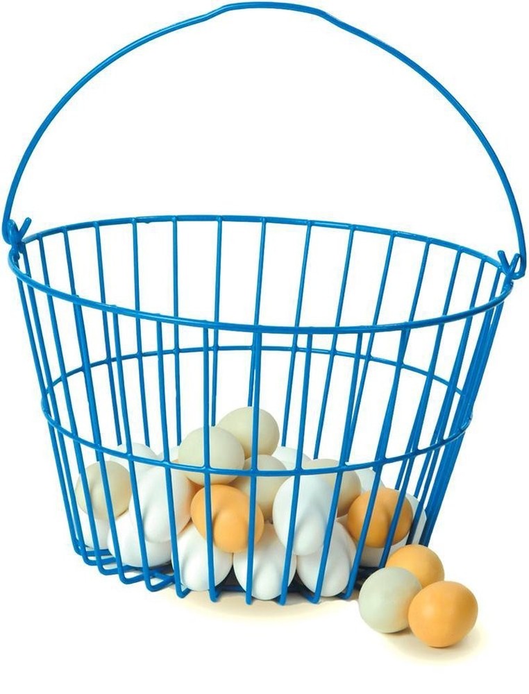 Plastic Coated Wire Egg Basket Rust Resistant USA Made 9 x 14 inch Blue