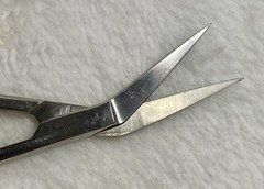 ACE Surgical Supply Co. Surgical Scissors, Made in Germany, Clean & Functional