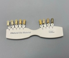 Ivoclar Vivadent Dental Shade Guide A-D 20 IPS Natural Die ND1-9 Bleach Teeth US