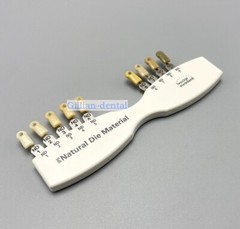 1X Dental IPS Natural Die Material Shade Guide Ivoclar Vivadent ND1-9 Abutment