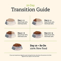 Gather Endless Valley Vegan Dry Dog Food Grains Healthy Plant-Based Kibble Made