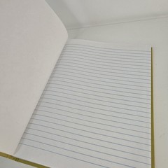 Vintage Federal Supply Service Record Book Set Of 2 Green Cloth Ruled Paper