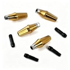 Regular Hex Straight Titanium Abutment for Cement Retained Crown Fits Hiossen ET