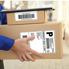 Thermal Shipping Labels for Zebra and Rollo 1 Rollo/500 PCS-4″x6″ US NEW~
