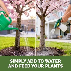 Cherry Tree Fertilizer Liquid Plant Food More Blossoms Better Fruit Set