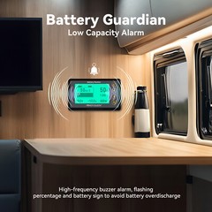 Power Queen 500A Battery Monitor with Shunt Capacity Display 8V-120V Lithium SLA