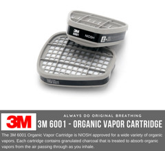 3M 6001 Organic Vapor Replacement Respirator Cartridge Filters Automotive Paint
