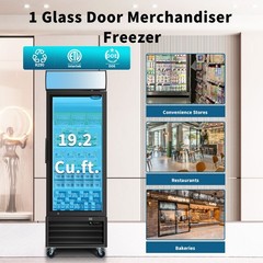 Commercial Reach in Freezer Glass Door Display Merchandiser Restaurant NSF 27″ W