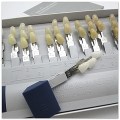 Dental VITA Toothguide 3D Master Shade System with Bleached Shade Guide 29 Color