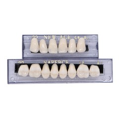 168PC Acrylic Resin Denture #22 Dental Upper Lower Shade A1 Teeth Set USA #22 A1