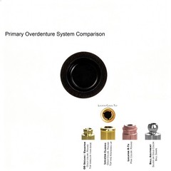 ZEST Locator Titanium Abutment for Hiossen ET Mini Regular Implant Screws Legacy