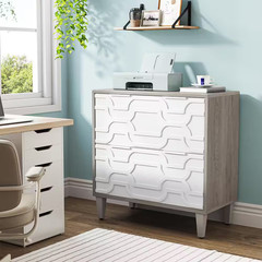 Cindy 2-Drawer White Gray Wood 31.5 In. W Lateral File Cabinet A4/Letter/Legal S