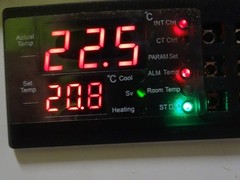 Wolen Industrial Chiller , CW-5200