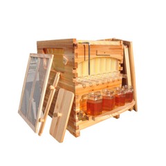 Automatic Bee Hive Boxes beehive + 7x Bee Frames Honey Bee House Beekeeping US