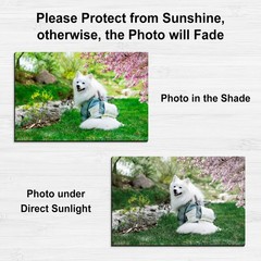 Stone City Printable Magnetic Sheets 8.5×11 Inch, 12 8.5″x11″, White