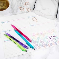 Gel Pens | 12 Count, Fine Point Tip (0.5mm), Assorted Rainbow Colors, Retractabl