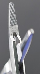 V Mueller SU16062 Vital Mayo-Hegar Needle Holder, Serrated, TC, Straight, 7-7/8″