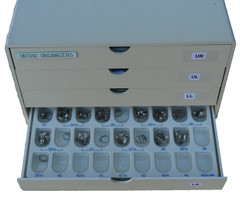 molar bands