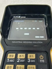 CAS TWN Bluetooth Portable Handheld Crane Scale Remote Indicator