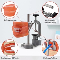 Dental Typodont Mounting Pole & 32 Removable Teeth Model Set – 360° Rotating USA