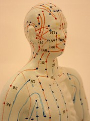 10″ human Chinese acupuncture model 26cm tall anatomical sculpture figurine New