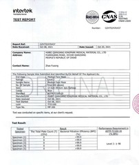 Efficient 3-Ply Blue Disposable Masks – ASTM Level 2, 100 Count, High Filtration