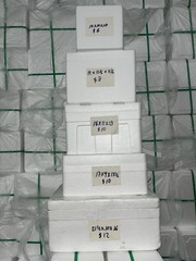 Polystyrene Foam Insulation Sheets White