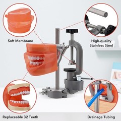 Kilgore Nissin 200 Type Dental Typodont Model+32pc Removable Teeth Mounting Pole