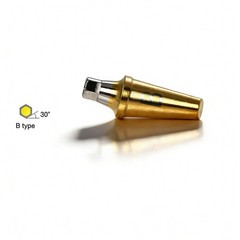Hiossen ET 17° degree implant Angulated Ti Anatomic Abutment Dental Mini/Regular
