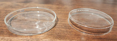 PYREX Glass Petri Dish 100mm x 10mm Cover & Bottom Reusable Pick Quantity USA