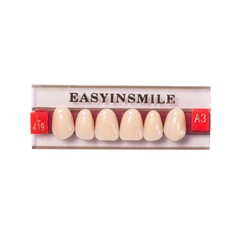 Dental Acrylic Resin Tooth Denture False Teeth Upper Anterior Lower 6Set*16Pc