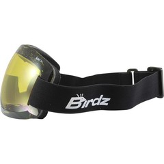 Birdz Eyewear Starling Frameless Skydiving Motorcycle Goggles 2 Pairs with Blue