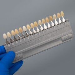 VITA Classical Shade Guide A1-D4 16 Colours VITAPAN Colorimetric Plate