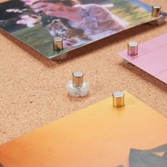 Magnetic Pushpin Magnetacks Magnet Thumbtack Poster and Photo Hangers for Walls