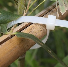 50pcs 18″ White Extra Long Heavy Duty Cable Ties 200lbs