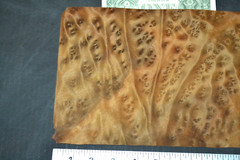 Camphor Burl Raw Wood Veneer Sheet 7 x 12 inches 1/42nd thick 4672-78