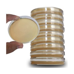 Evviva Sciences Potato Dextrose Agar Petri Dishes – Prepoured Potato Dextrose…