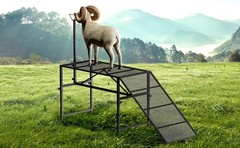 500lbs Livestock Trimming Stand w/ Ramp 47″ x 23″ Metal Livestock Trimming Stand