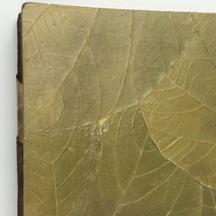 Handmade Costa Rica Journal Large 14×11¾ Butterfly Leaf Cover Eco Artisan Book