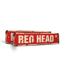 RED HEAD Vintage Style Rustic Street Sign Metal hair redhead dye beautician