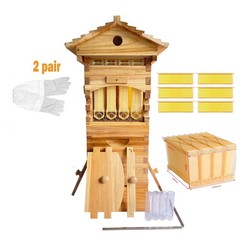 10X Auto Honey MINi Beehive Bee hive Frames Beekeeping Brood Wood Box+Gloves