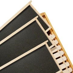 Deep Waxed Brood Box with Window, 10 frames and 10 Blk Foundations