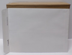 Blue Summit Supplies 100 Envelopes 9 X 12 Security Catalog White Self Seal