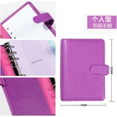 Filofax Personal Size Saffiano Organiser Planner Diary Poppy Red – 022473 Gift