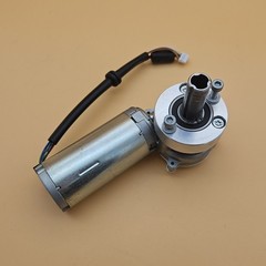 Blu Motor 48V DC 130.007.019 0.16 Nm IP40 D.42 21-119375-01 Made In Italy