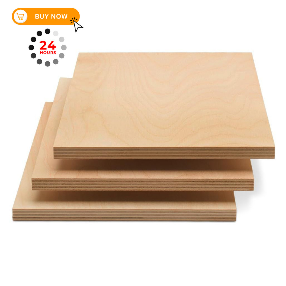 Baltic Birch Plywood 8 x 12 x 1/2 Inch – 12 mm Craft 12″ x 8″, Natural Wood