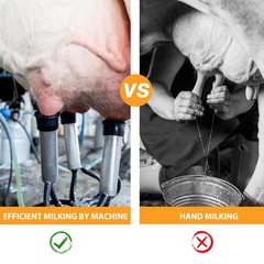 Portable Electric Cow Milking Machine Milking Equipment 25L 304 Stainless Steel