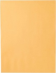 20 Pack Classic Brown Kraft 9″ x 12″ Envelopes with Clasp Closure – Made in USA