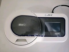 Invitrogen iBlot 2 Gel Transfer Device, IB21001, See Item Description